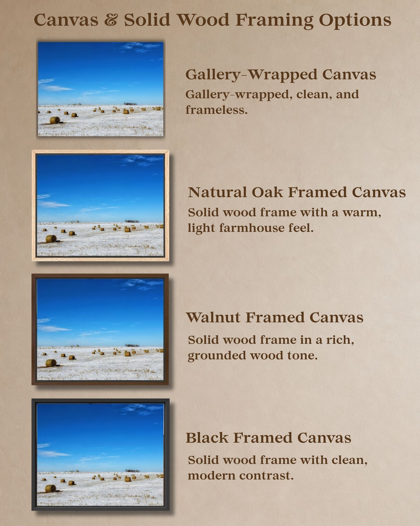 Comparison graphic showing gallery-wrapped canvas and natural oak, walnut, and black solid wood framed canvas options for winter hay bale field wall art.