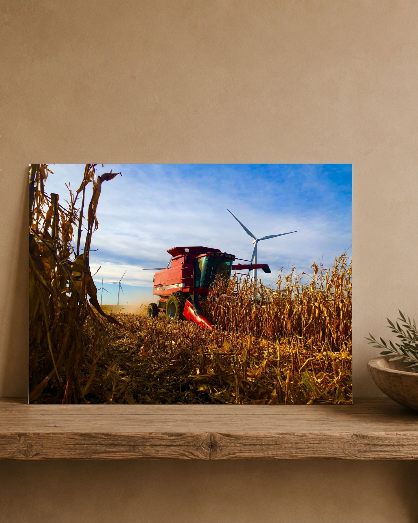 Row by Row, the Harvest Comes In | Fine Art Print