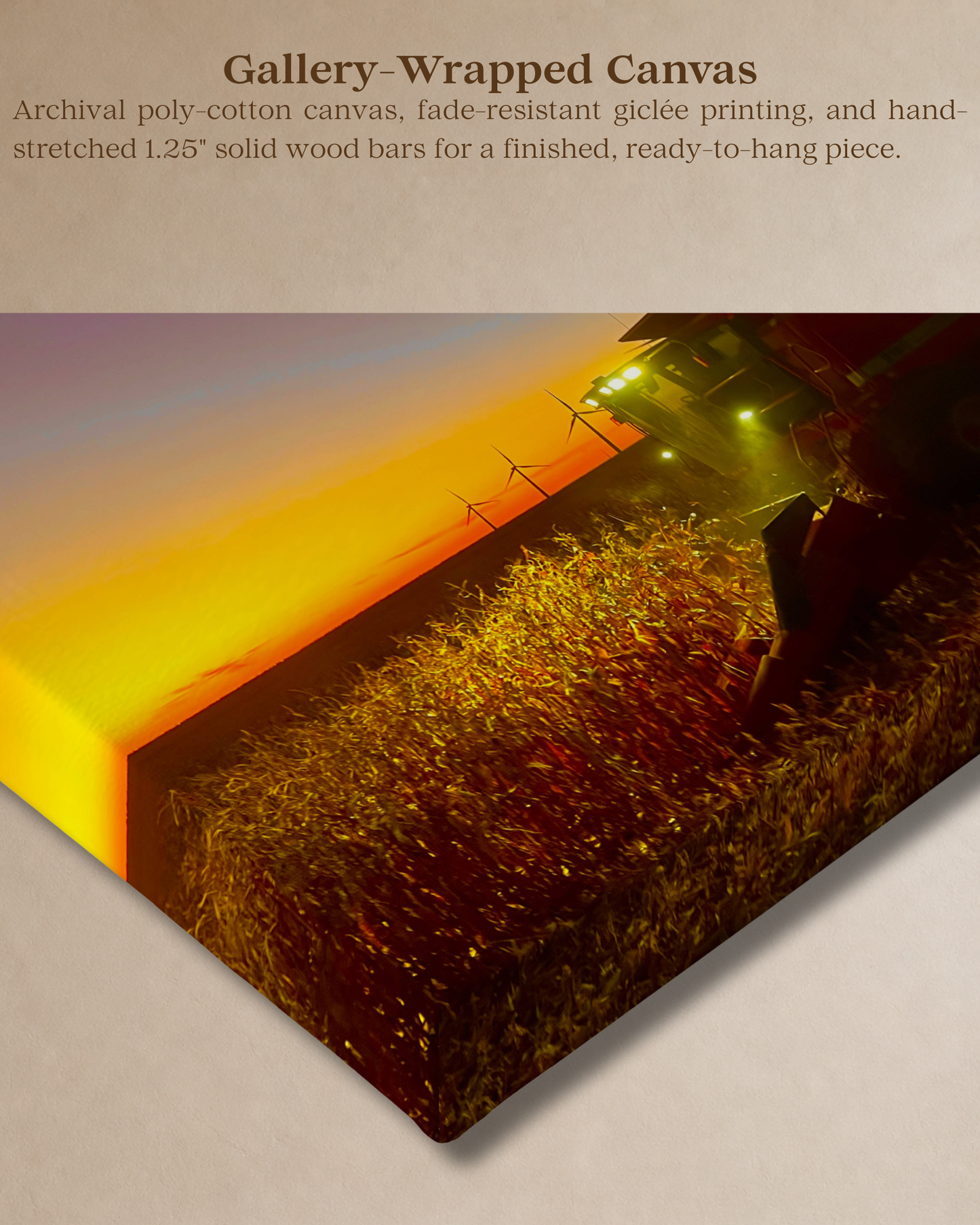 When the Field Lights Up – Corn Harvest Canvas Wall Art