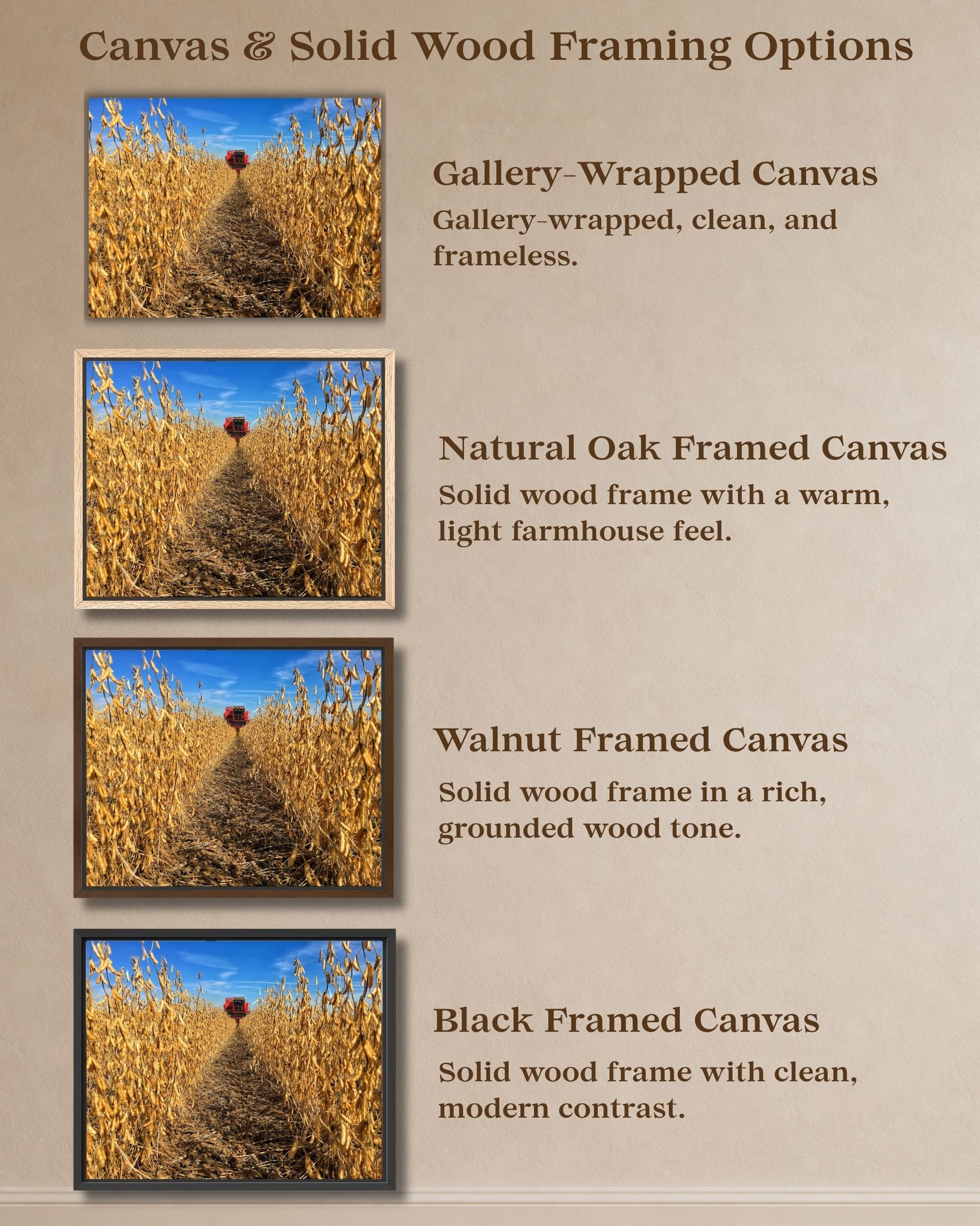 Comparison graphic showing gallery-wrapped canvas and natural oak, walnut, and black solid wood framed canvas options for soybean harvest wall art.
