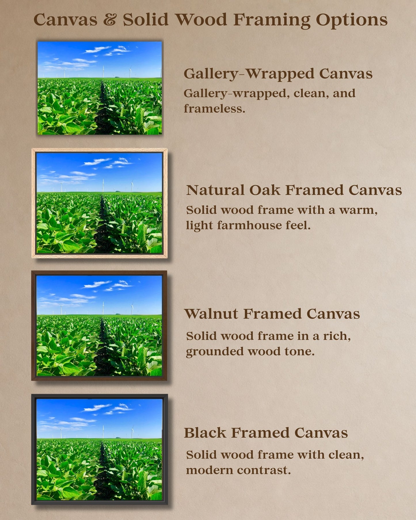 Where the Rows Meet the Wind – Iowa Soybean Field Canvas Wall Art