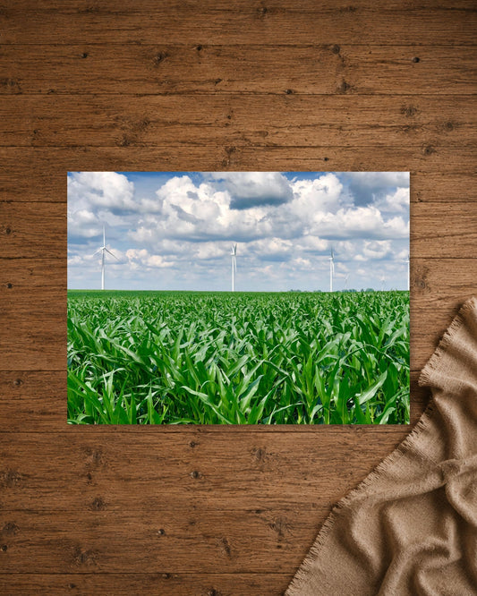 Where the Corn Stands Tall | Fine Art Print