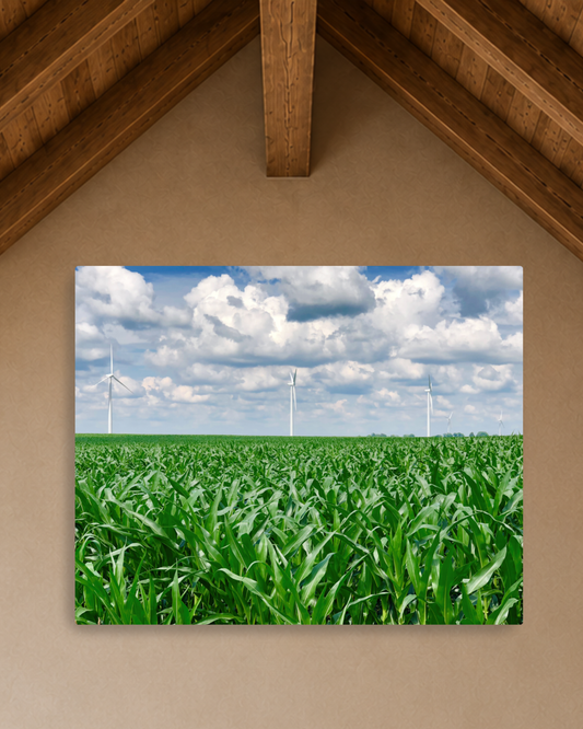Where the Corn Stands Tall – Iowa Summer Field Canvas Wall Art