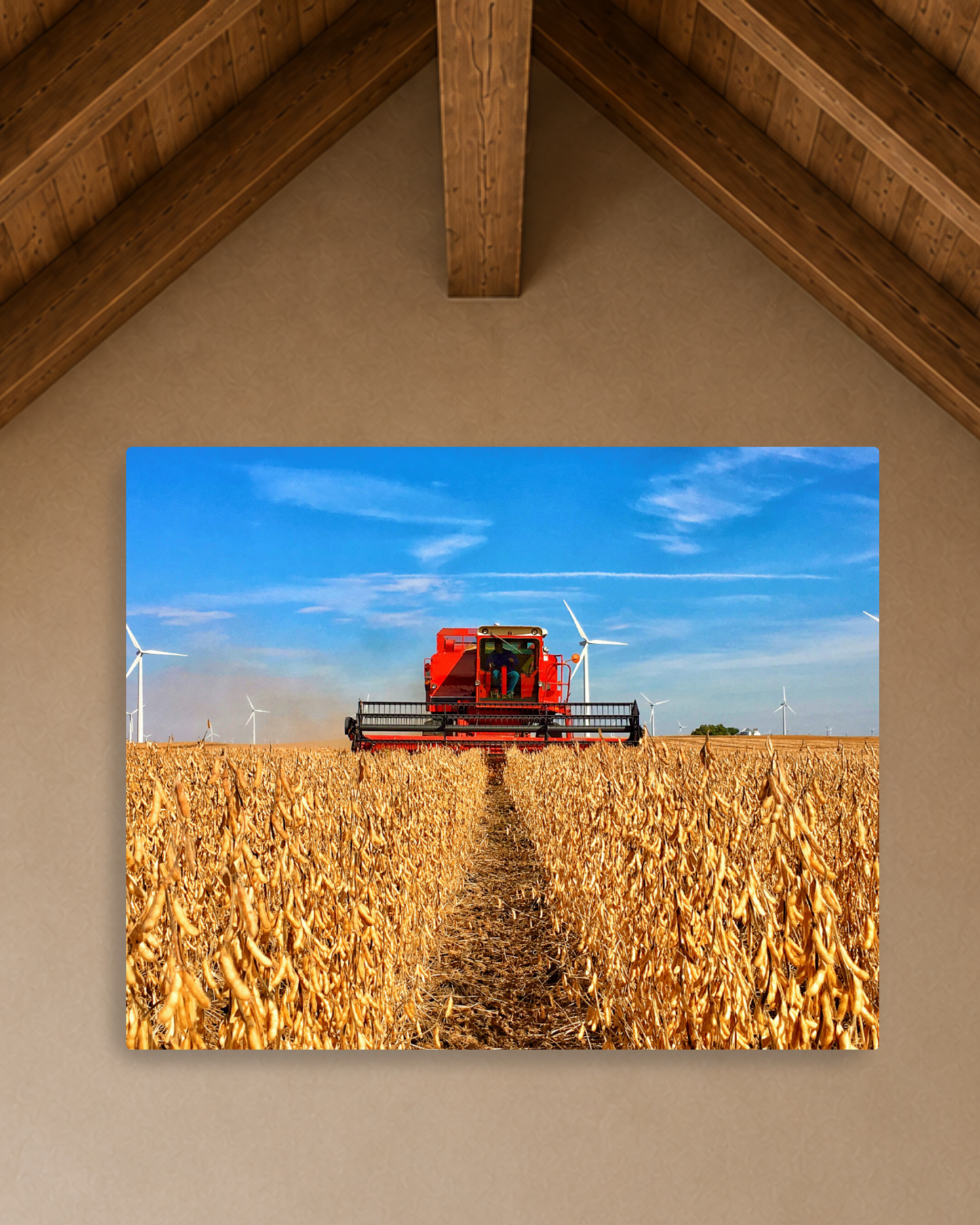 The Old International in the Bean Rows – Soybean Harvest Canvas Wall Art