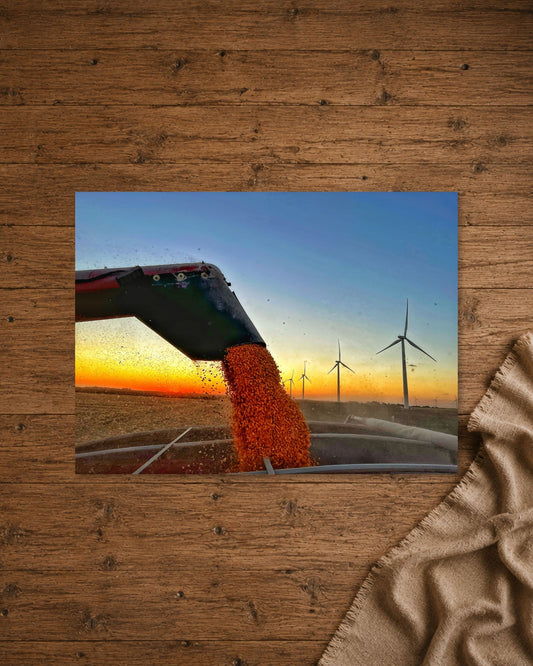 When the Grain Pours Gold | Fine Art Print