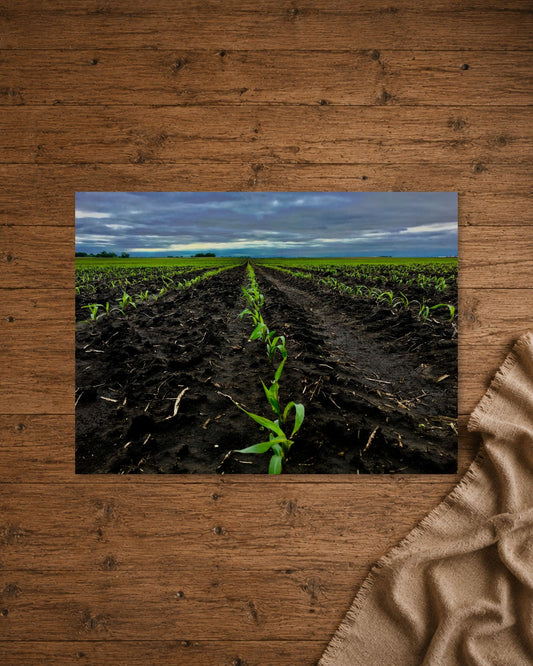 Where the Season Begins | Fine Art Print