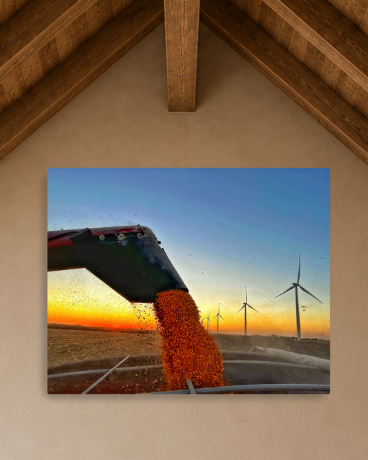 When the Grain Pours Gold – Corn Harvest Unloading Canvas Wall Art