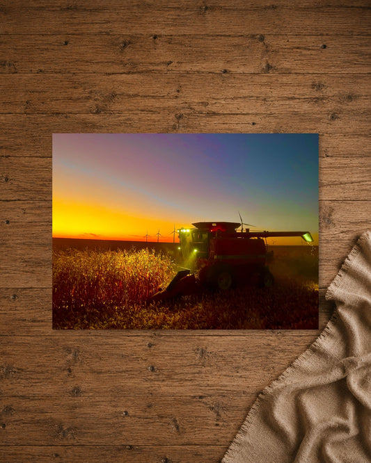 When the Field Lights Up | Fine Art Print