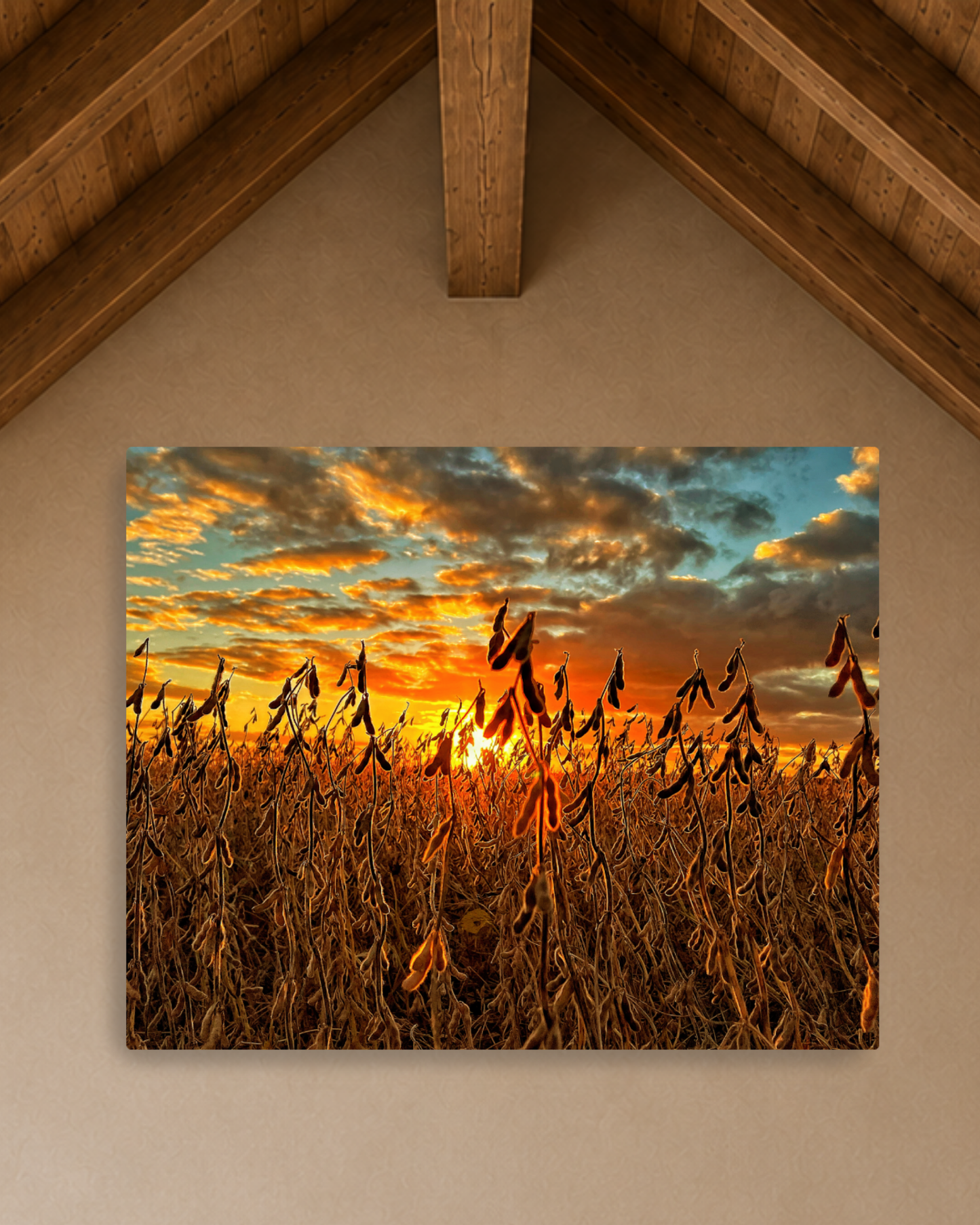 Where the Bean Pods Catch the Light – Soybean Sunset Canvas Wall Art