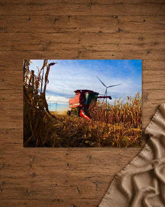 Row by Row, the Harvest Comes In | Fine Art Print