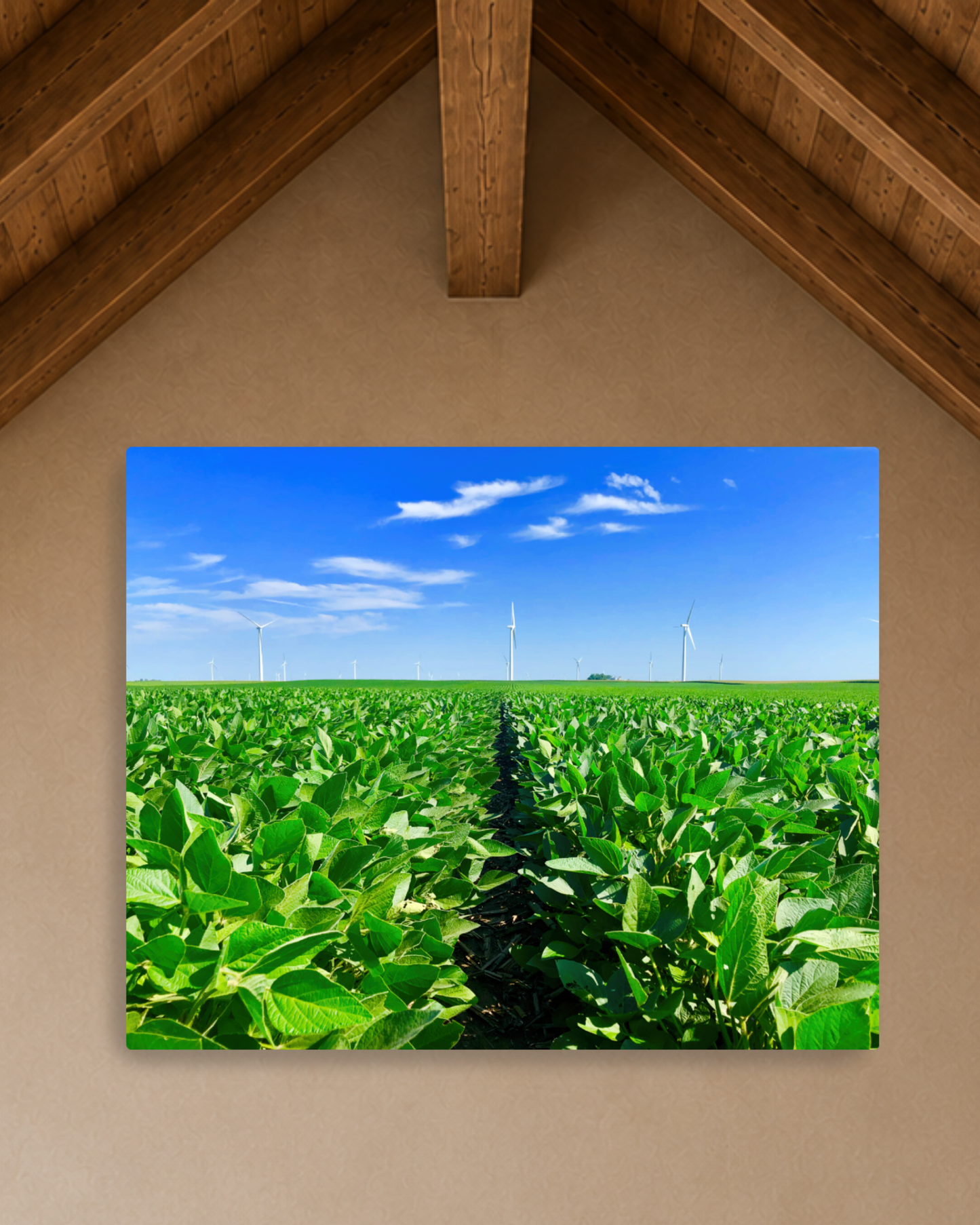 Where the Rows Meet the Wind – Iowa Soybean Field Canvas Wall Art