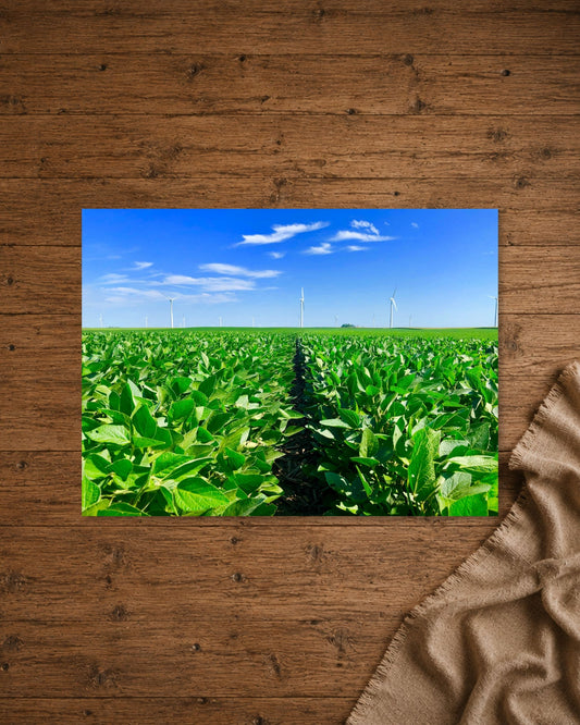 Where the Rows Meet the Wind | Fine Art Print