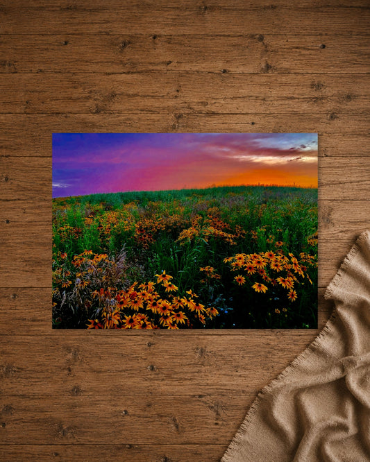 Wildflowers Under a Painted Sky | Fine Art Print