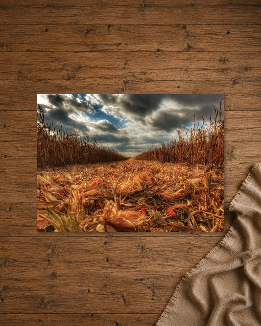Where the Combine Passed | Fine Art Print