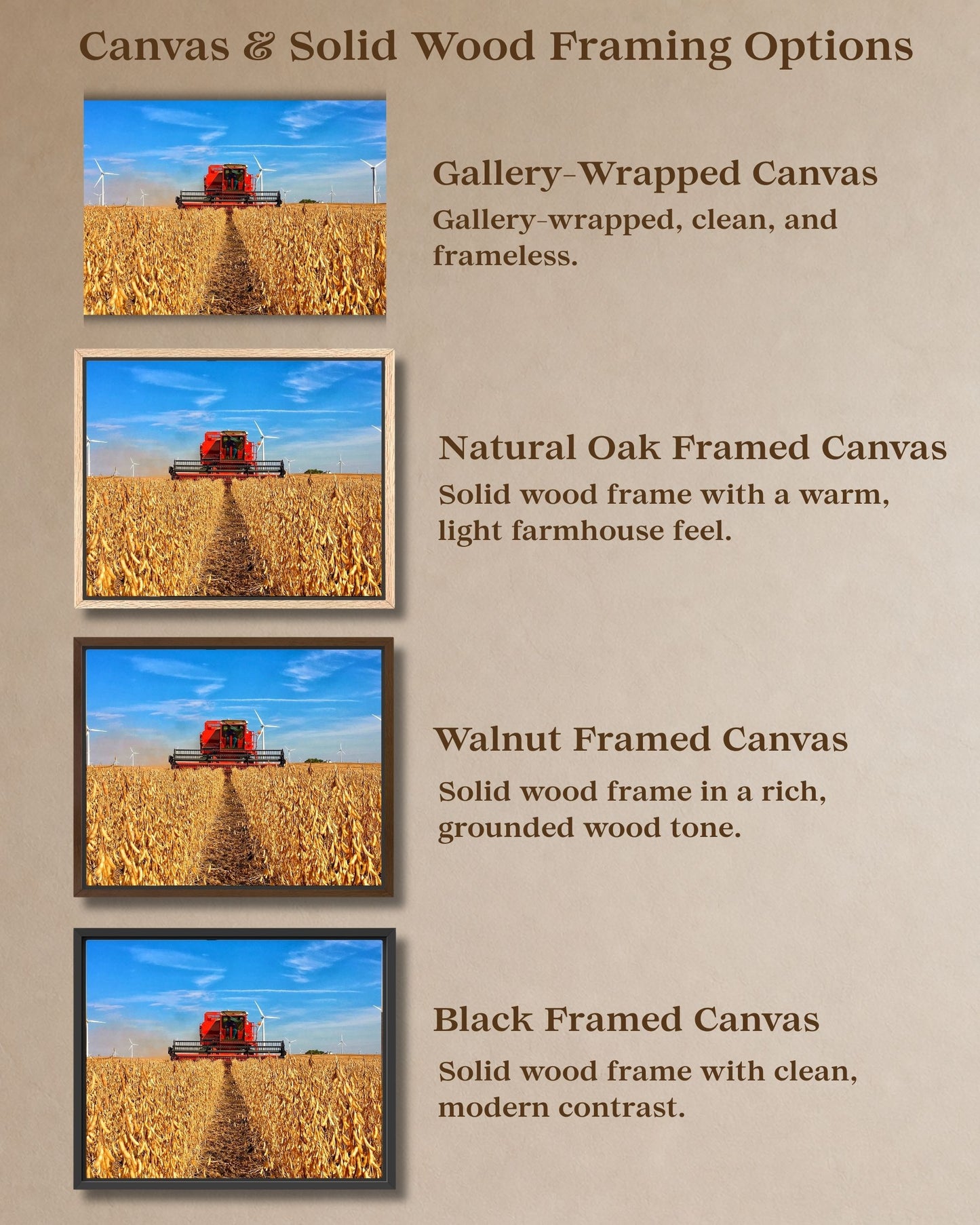 Comparison graphic showing gallery-wrapped canvas and natural oak, walnut, and black solid wood framed canvas options for vintage International combine harvest wall art.