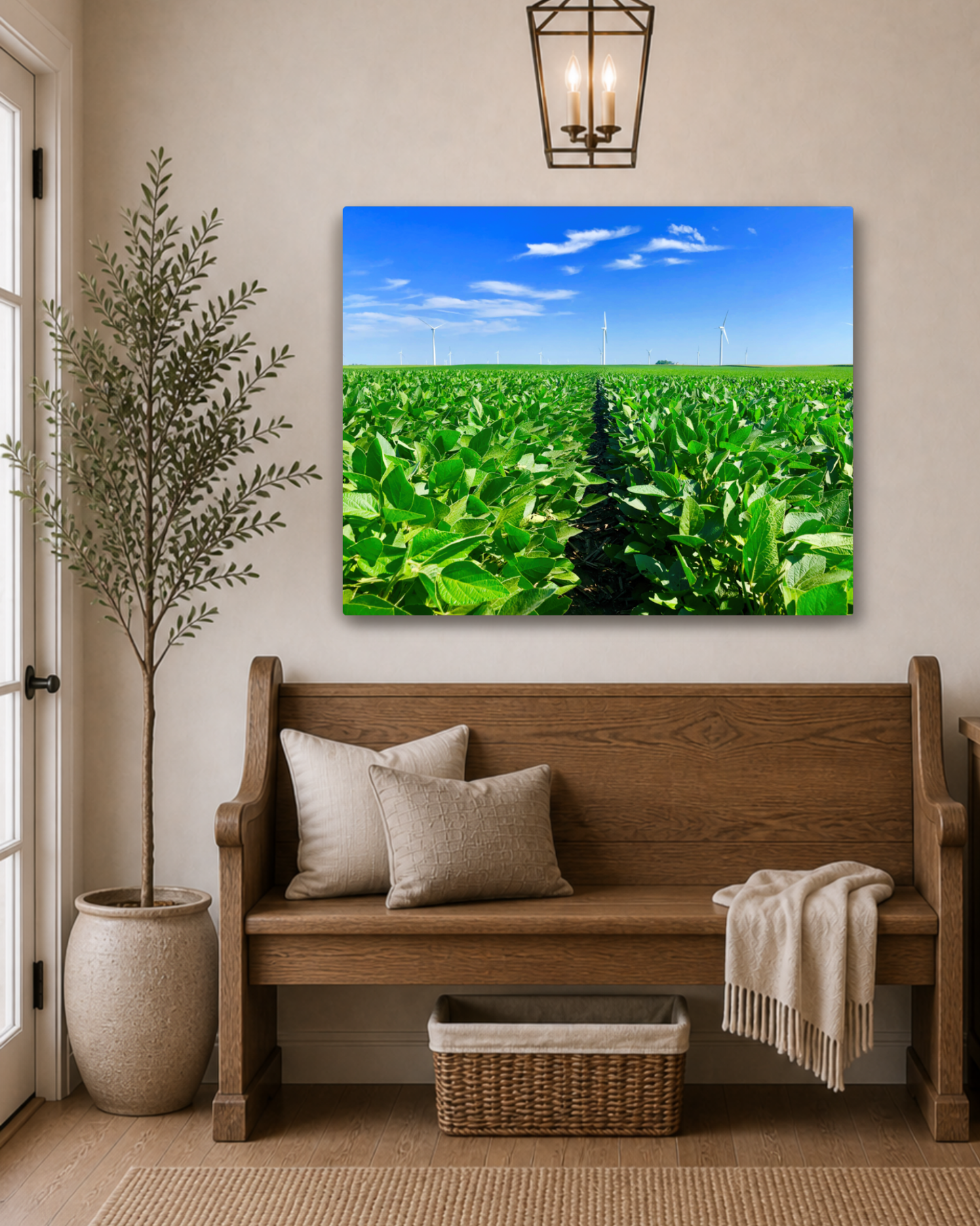 Where the Rows Meet the Wind – Iowa Soybean Field Canvas Wall Art