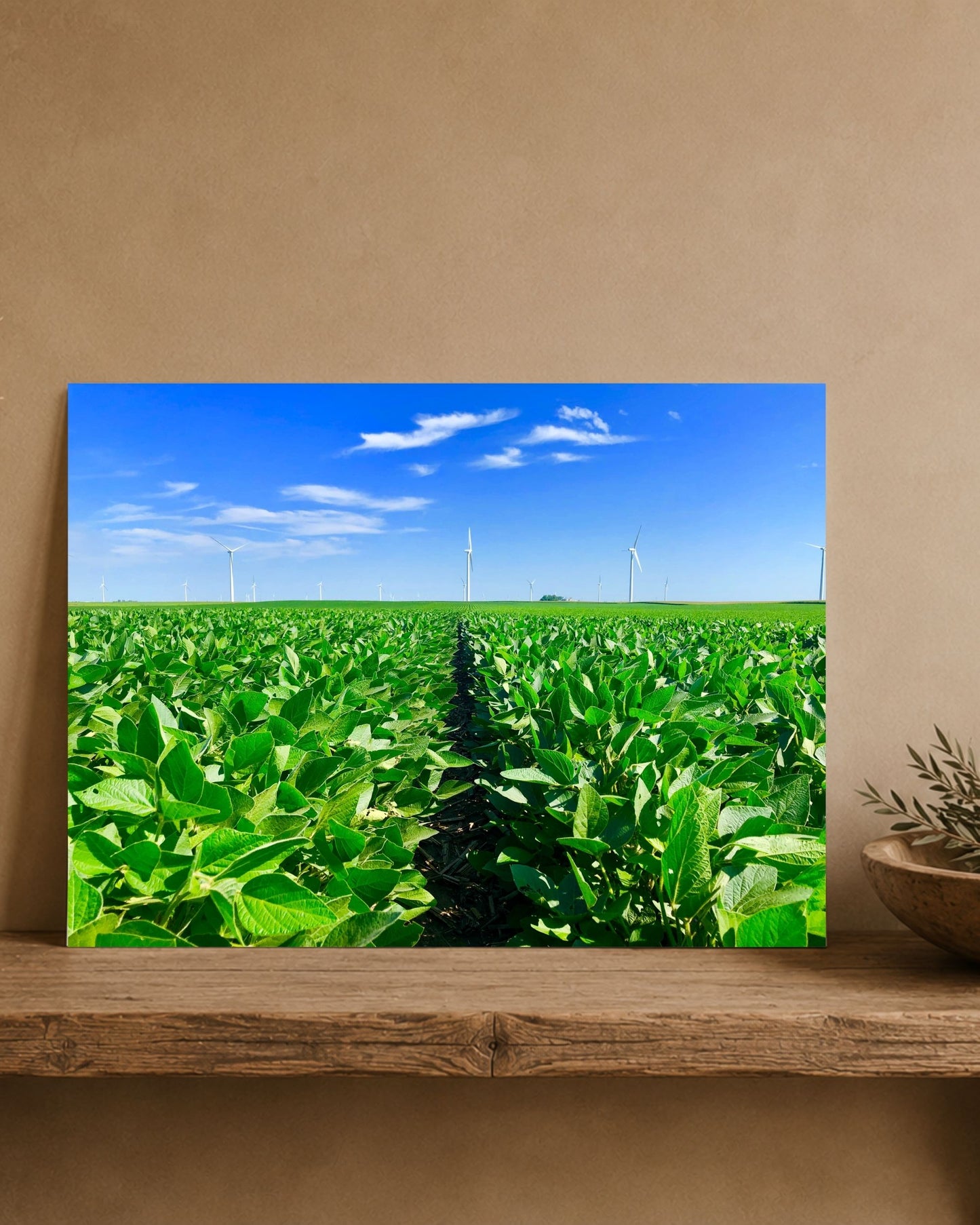 Where the Rows Meet the Wind | Fine Art Print