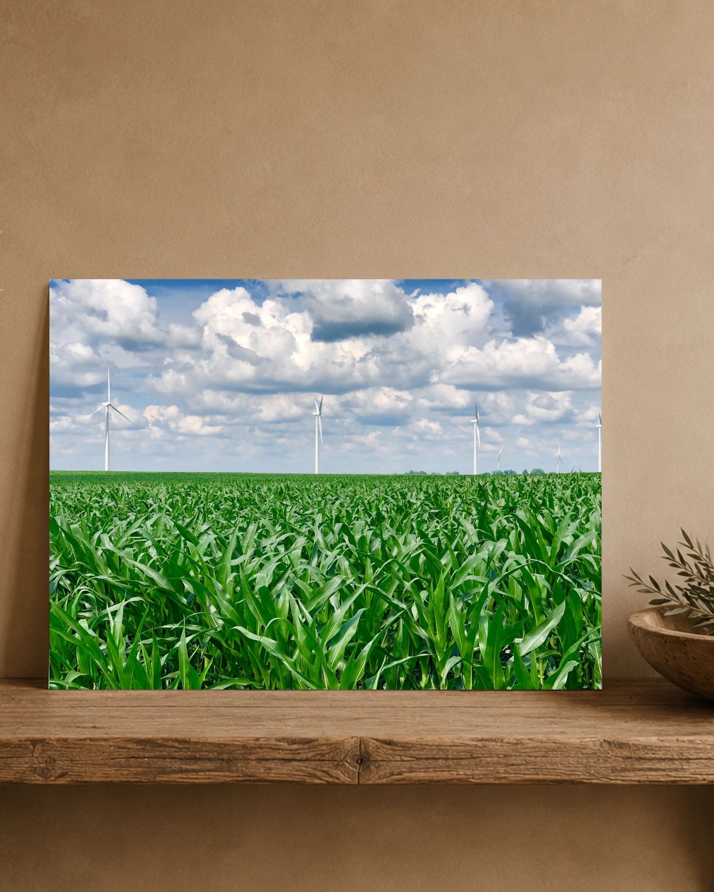 Where the Corn Stands Tall | Fine Art Print