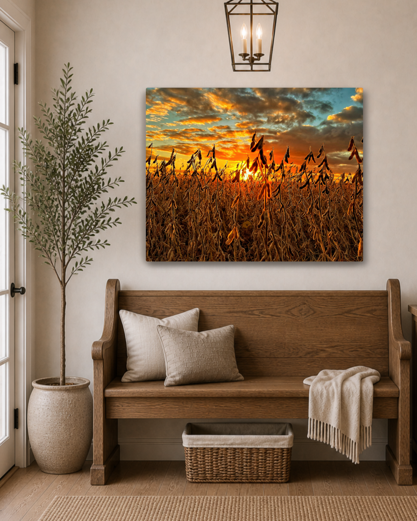 Where the Bean Pods Catch the Light – Soybean Sunset Canvas Wall Art