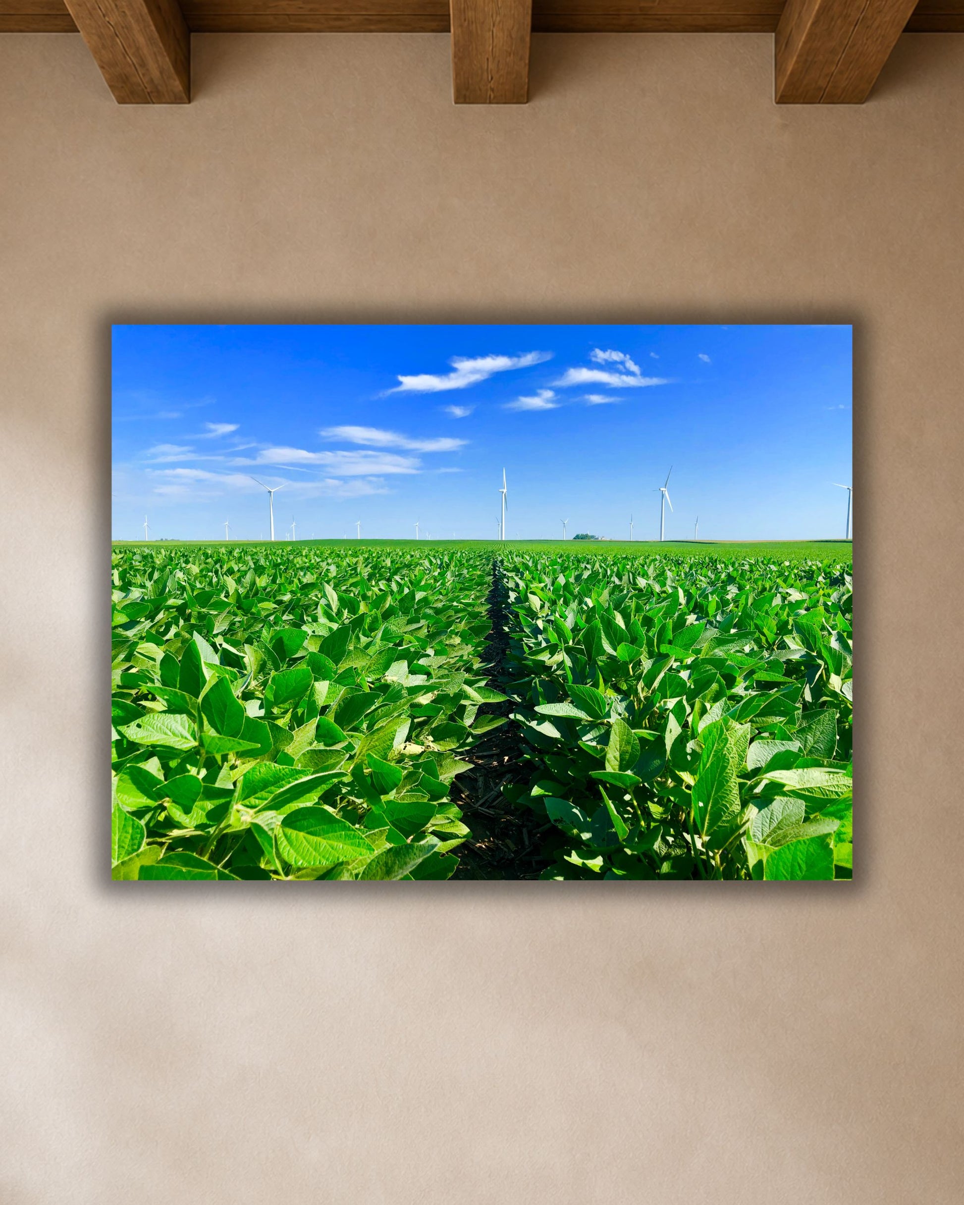 Close-up view of soybean field and wind turbines canvas wall art displayed on a warm neutral wall.
