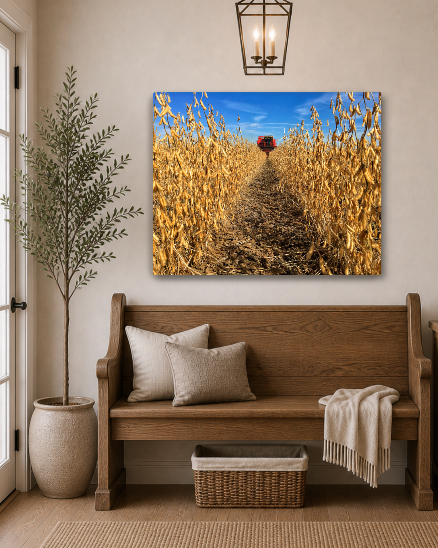 Through the Golden Beans – Soybean Harvest Canvas Wall Art