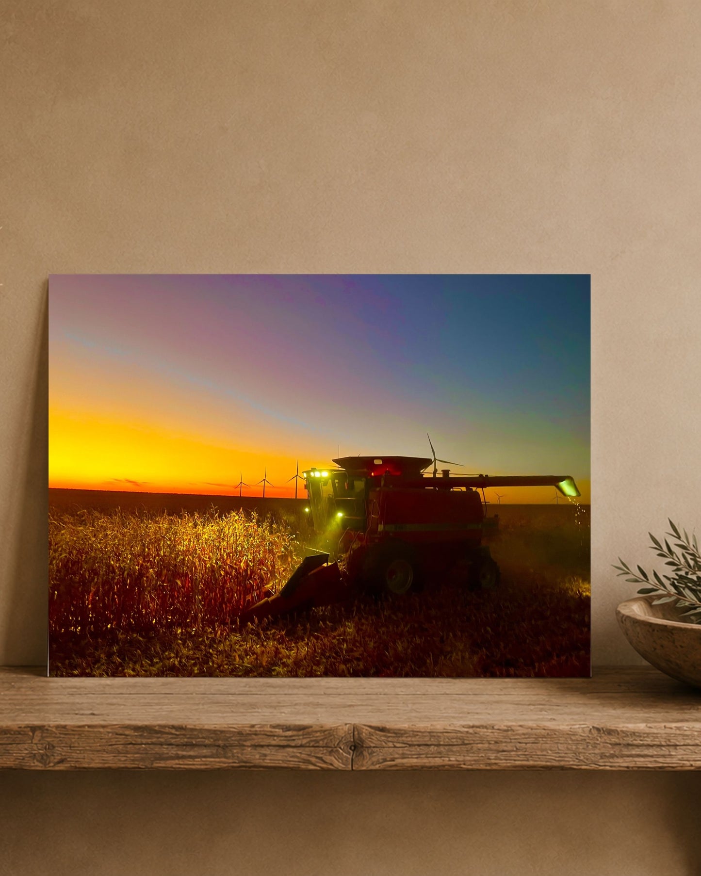 When the Field Lights Up | Fine Art Print