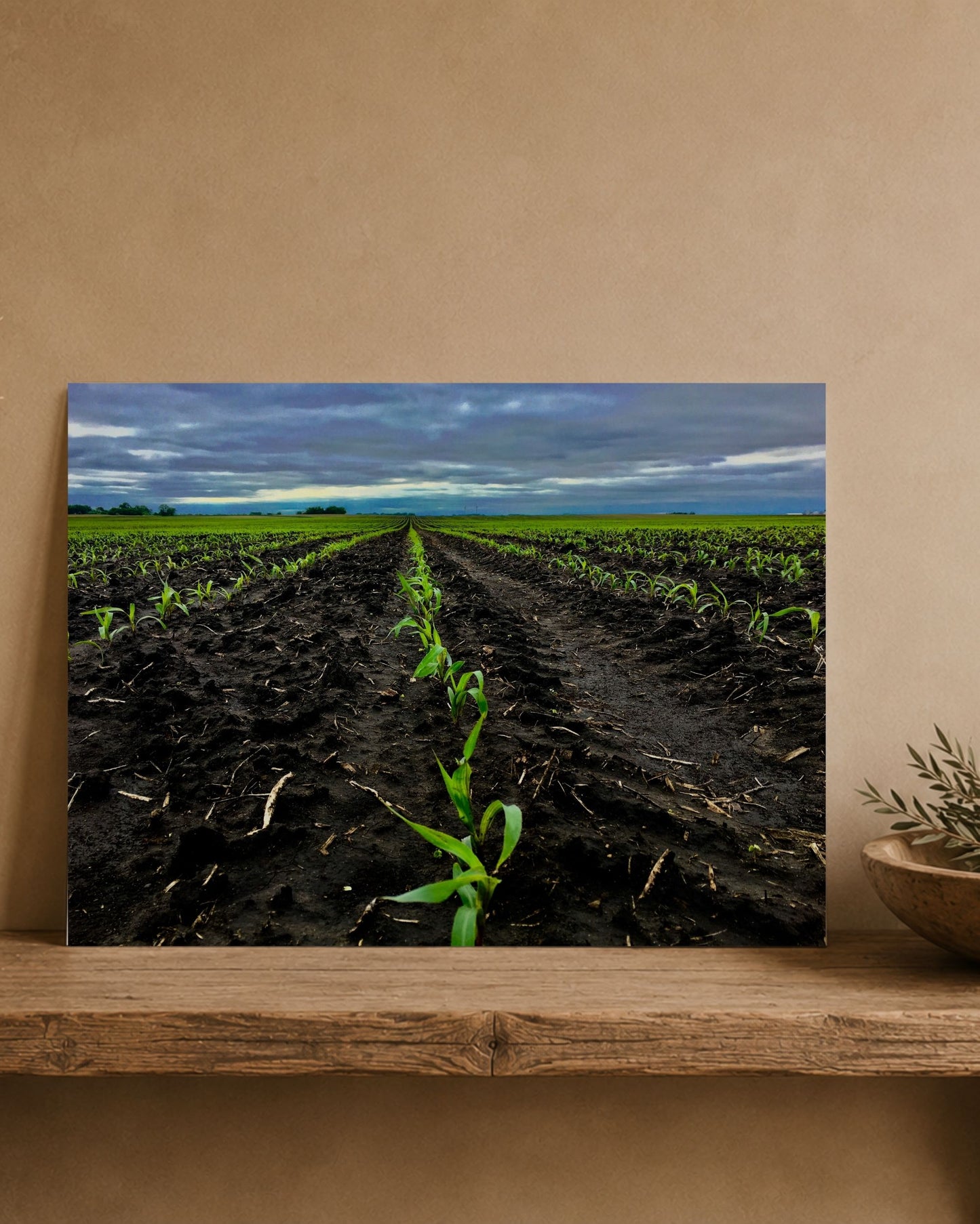 Where the Season Begins | Fine Art Print