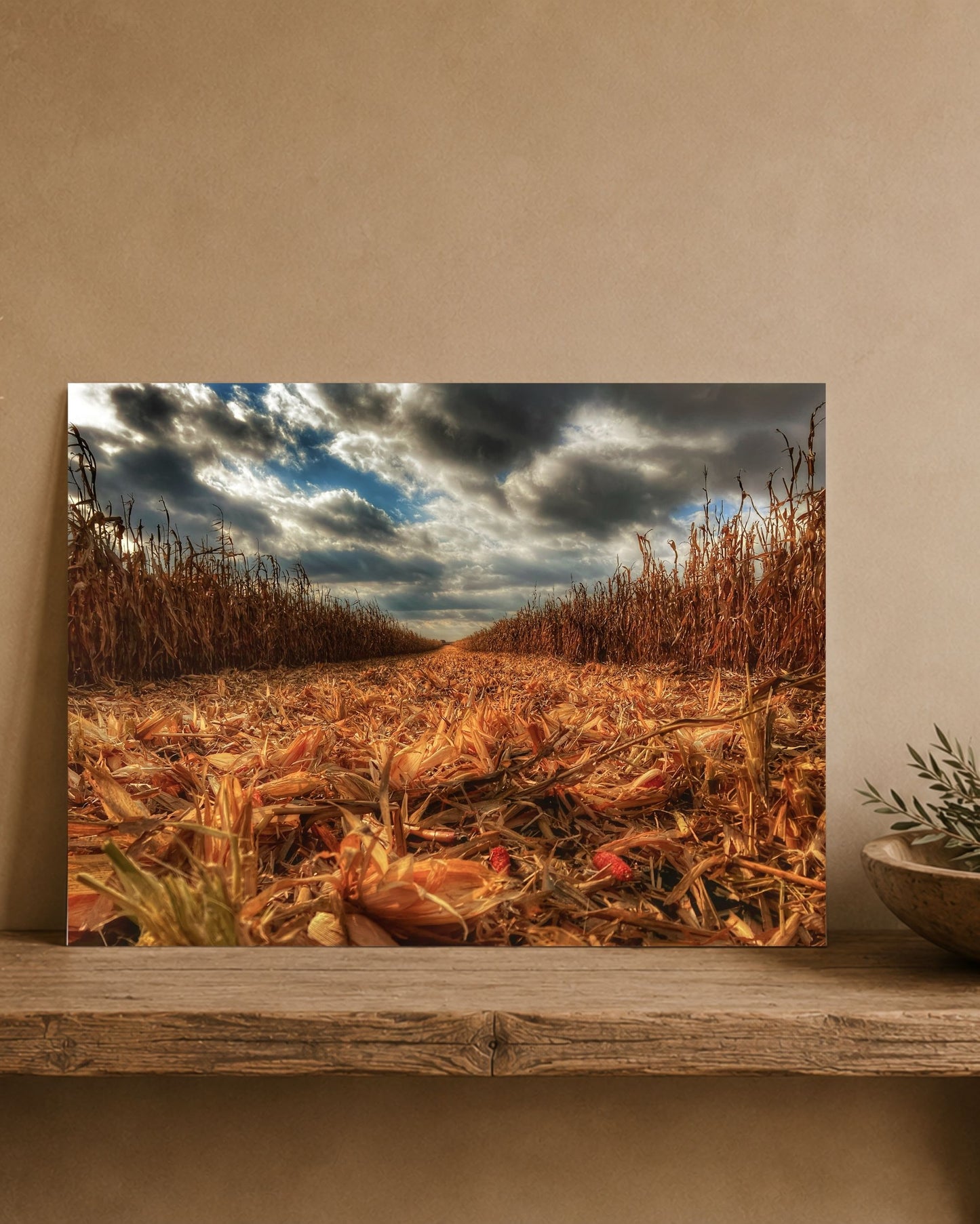 Where the Combine Passed | Fine Art Print