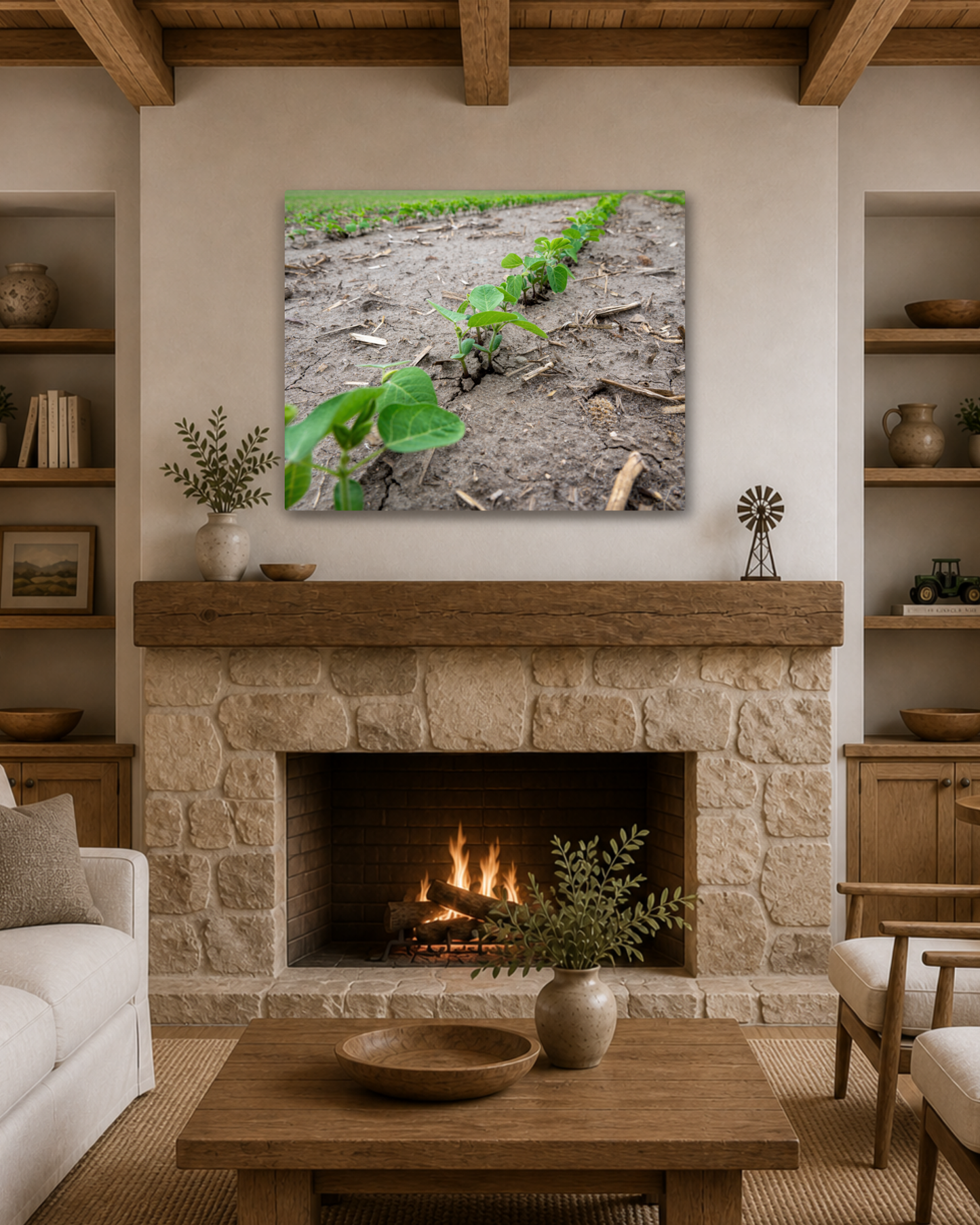 Breaking Through - Young Soybean Rows Canvas Wall Art