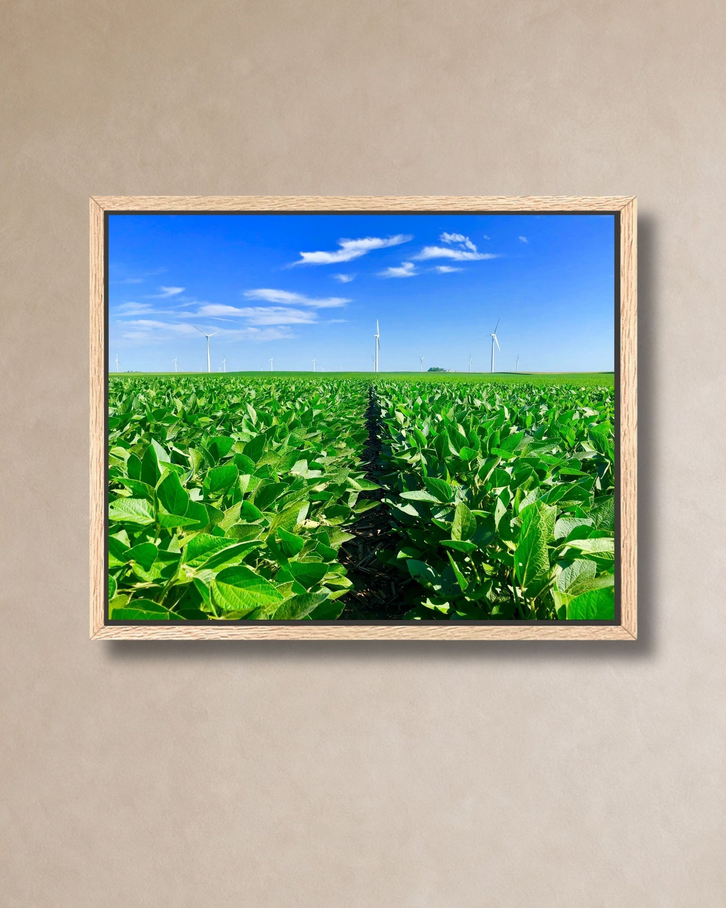 Natural oak framed canvas wall art featuring soybean rows beneath a blue sky with wind turbines on the horizon.