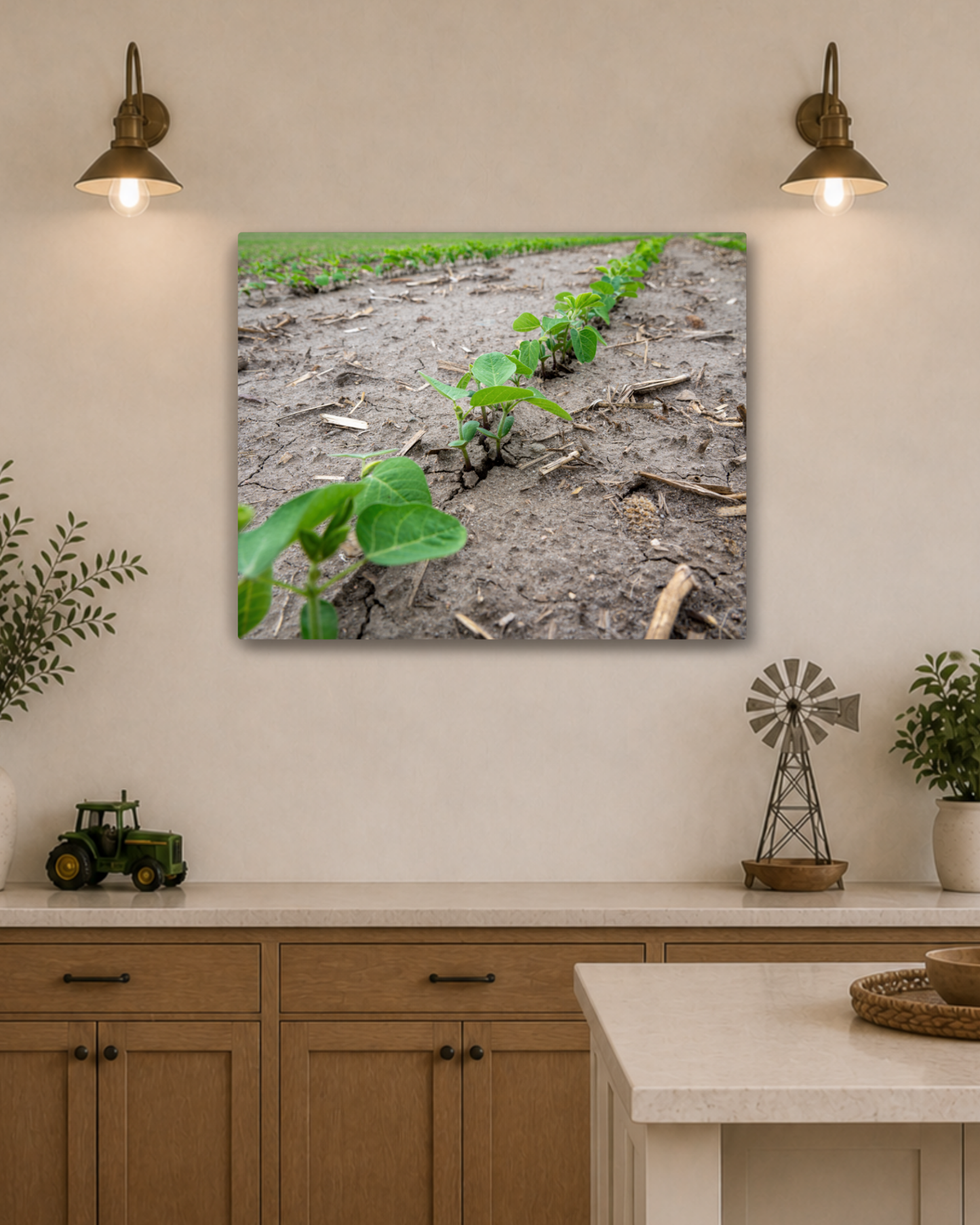 Breaking Through - Young Soybean Rows Canvas Wall Art