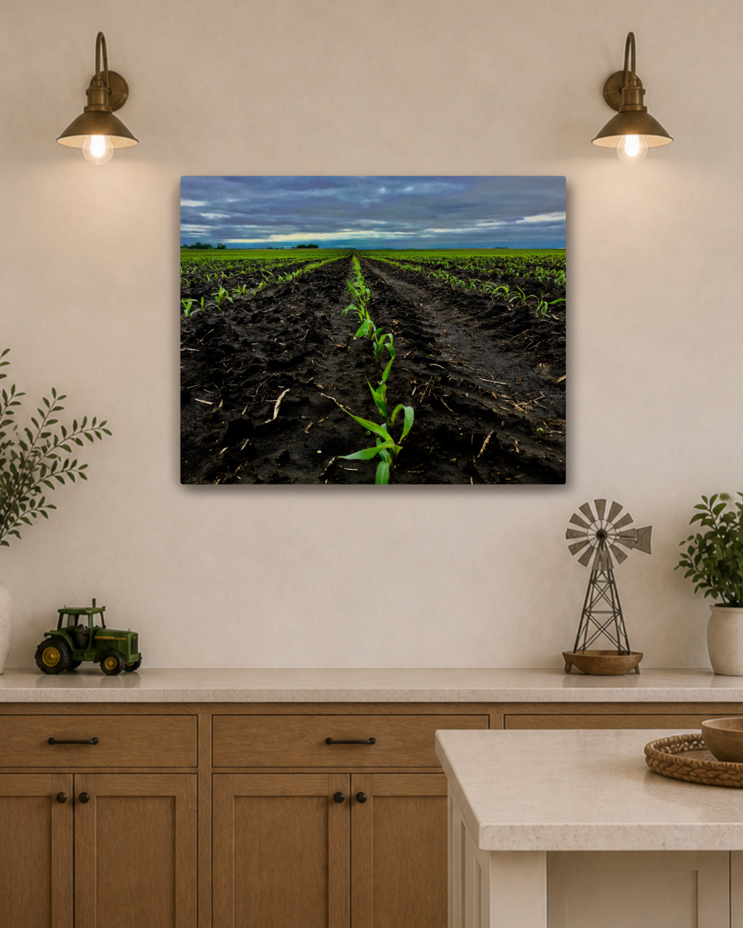 Where the Season Begins – Young Corn Rows Canvas Wall Art