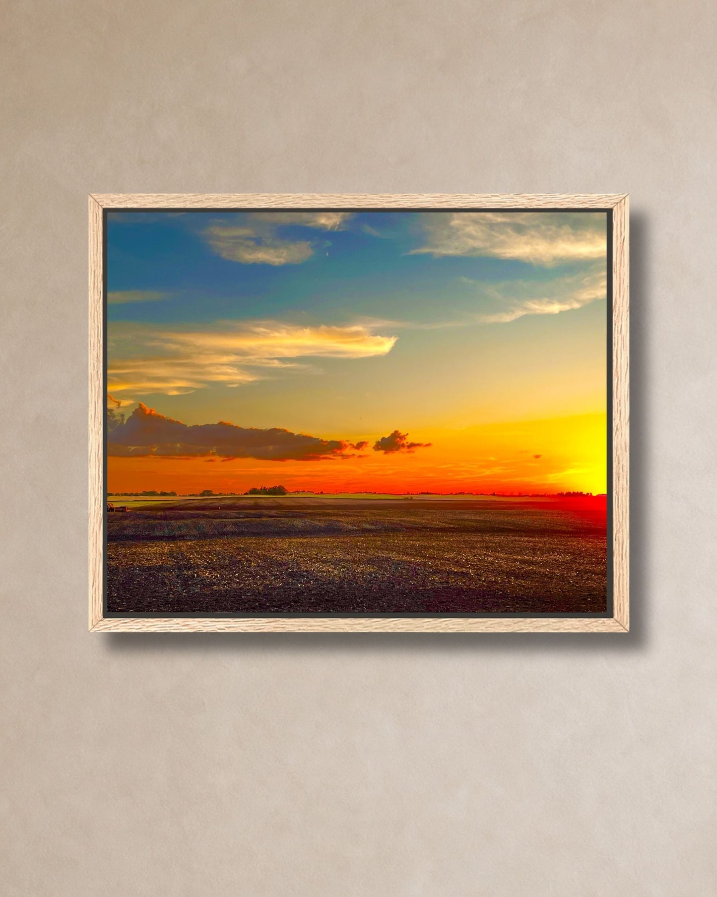 Close-up of rural sunset over an open Iowa field printed as gallery-wrapped canvas wall art on a neutral wall.
