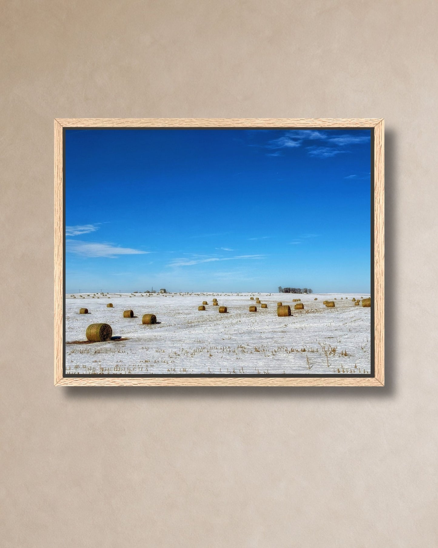 Natural oak framed canvas print of round hay bales scattered across a snow-covered field under a bright blue winter sky.