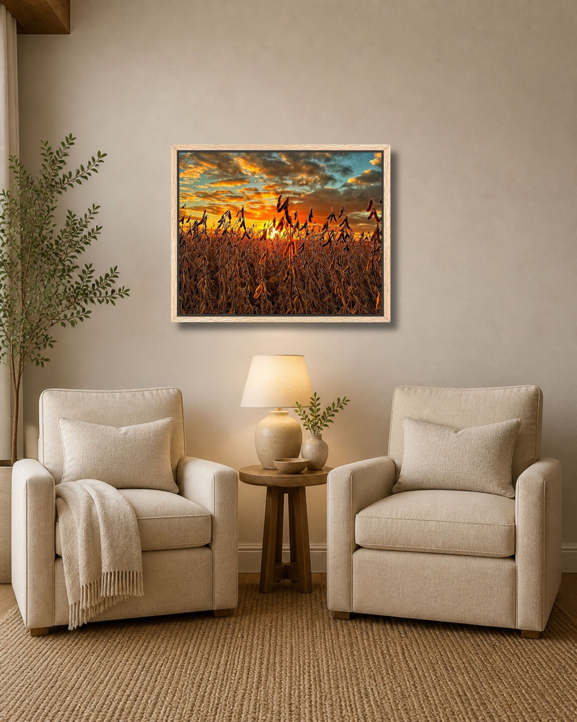 Natural oak framed soybean sunset wall art displayed above two upholstered chairs in a warm farmhouse sitting area.