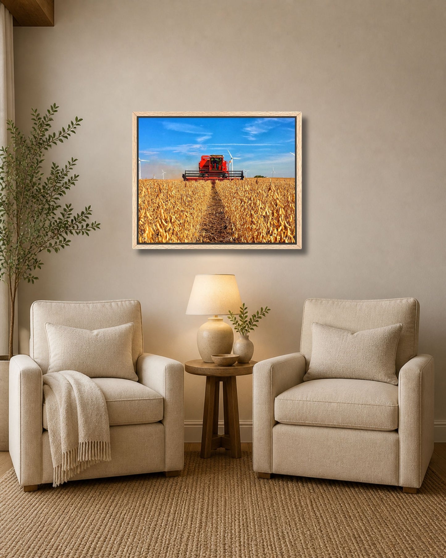 Natural oak framed soybean harvest wall art displayed between two cream armchairs in a soft neutral sitting area.
