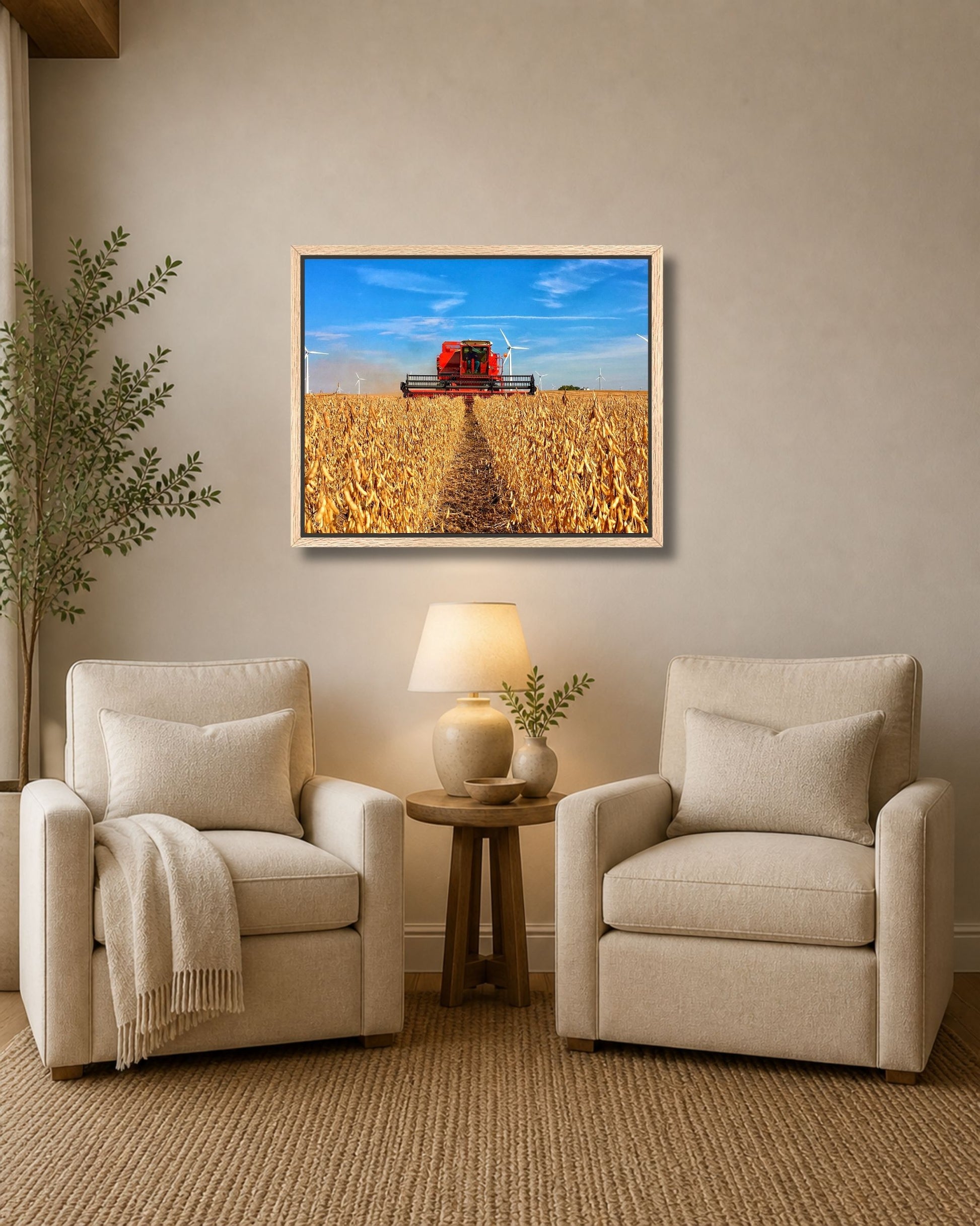 Natural oak framed soybean harvest wall art displayed between two cream armchairs in a soft neutral sitting area.