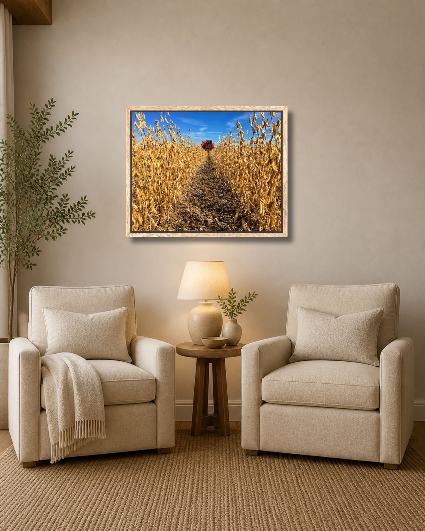 Natural oak framed soybean harvest wall art displayed between two cream armchairs in a warm neutral sitting area.
