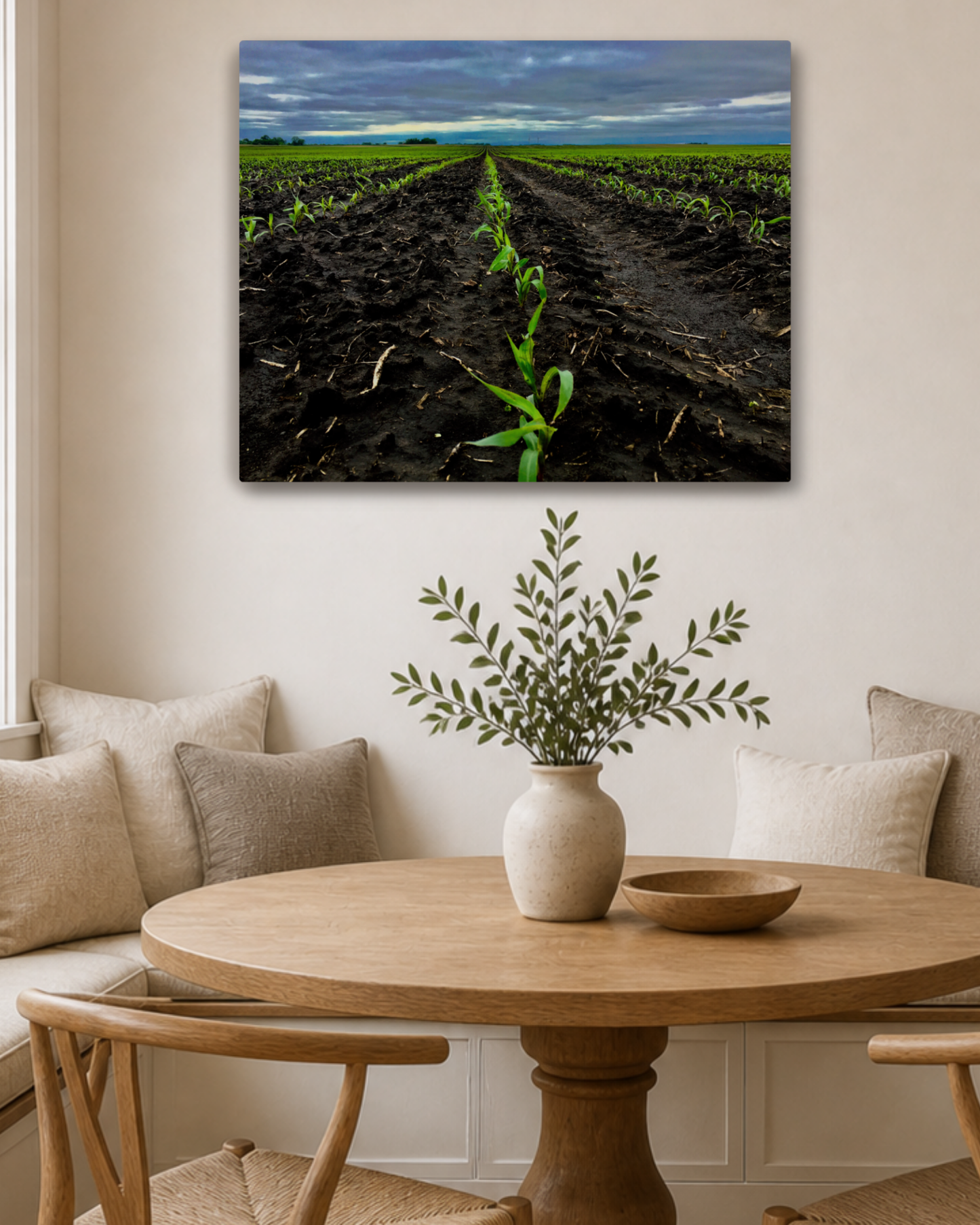 Where the Season Begins – Young Corn Rows Canvas Wall Art