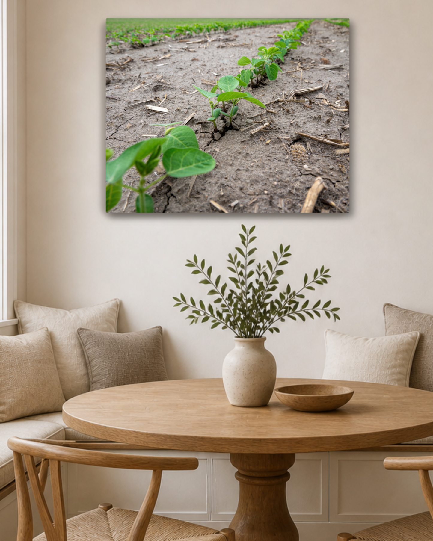 Breaking Through - Young Soybean Rows Canvas Wall Art