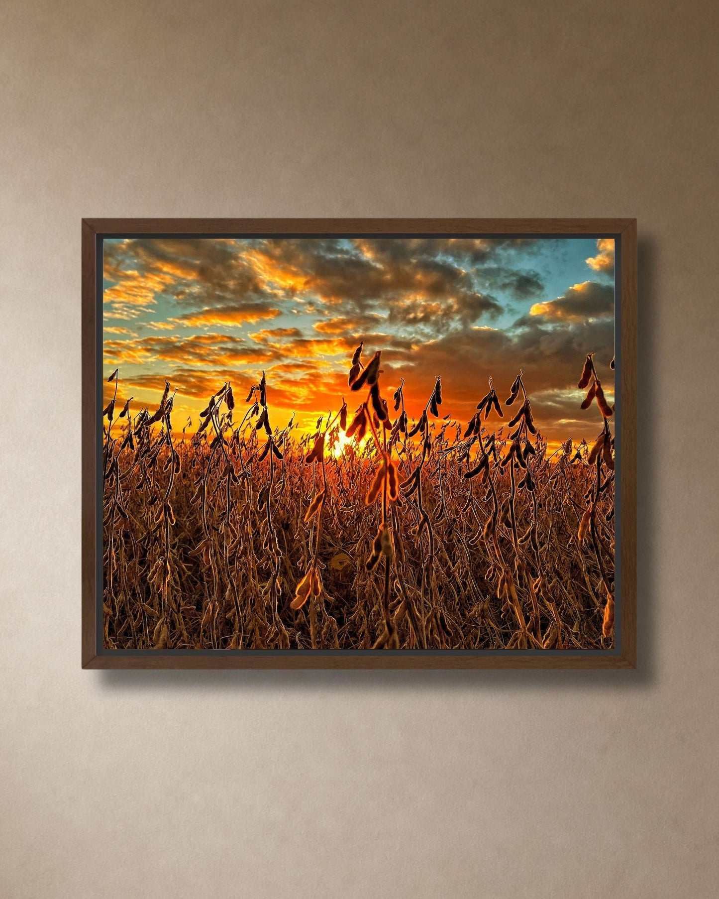 Walnut framed canvas wall art featuring silhouetted soybean plants beneath a dramatic glowing sunset sky.
