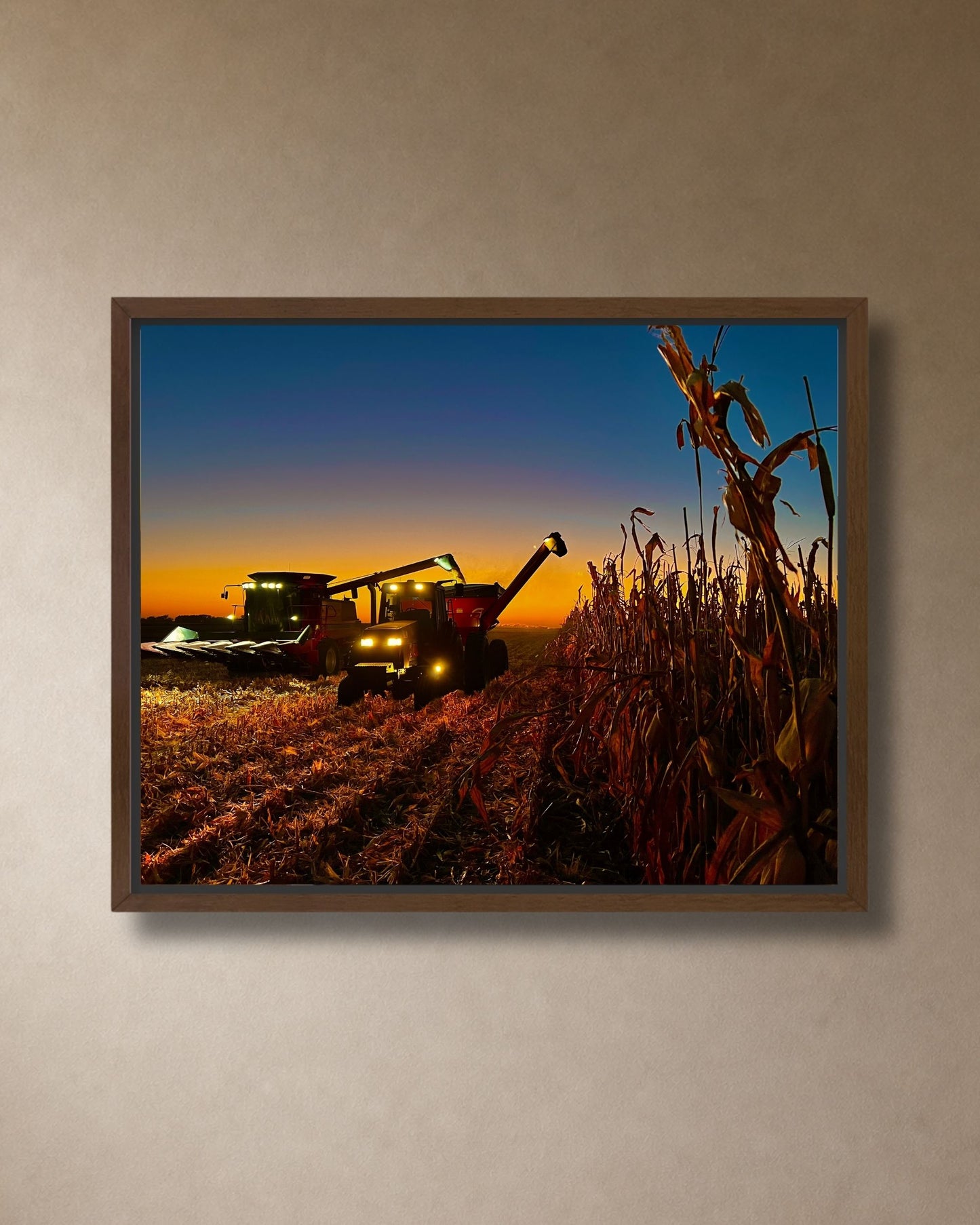 Walnut framed canvas print of combine and grain cart working at dusk during corn harvest.