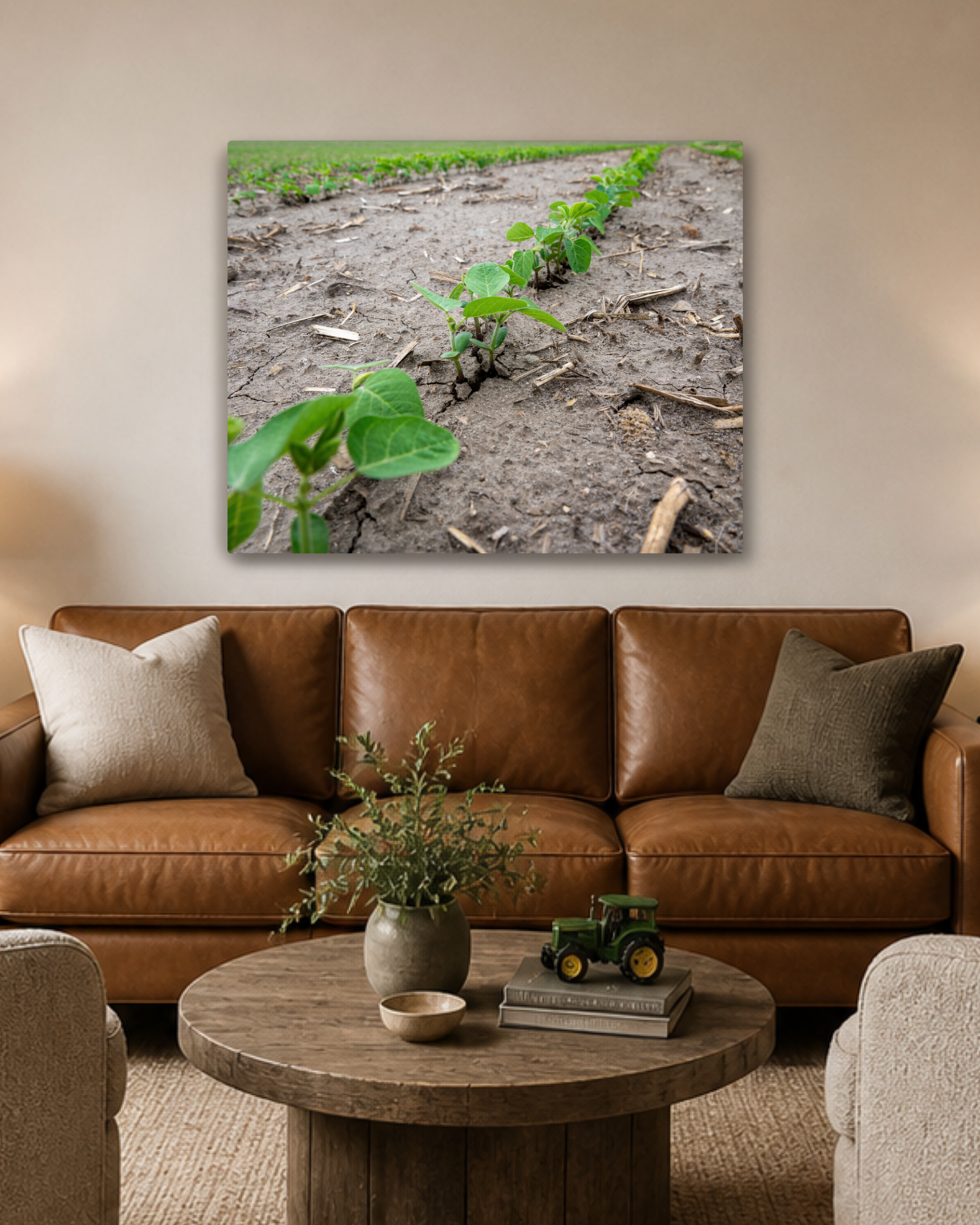 Breaking Through - Young Soybean Rows Canvas Wall Art