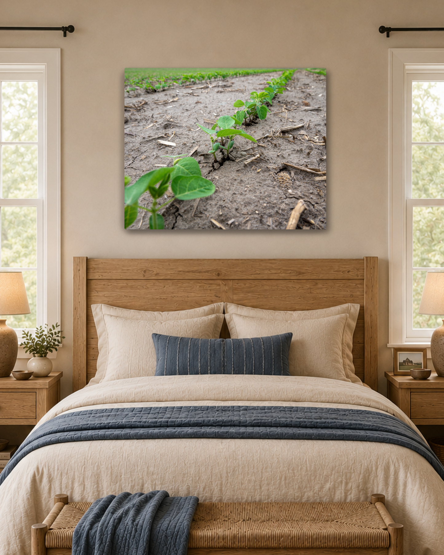 Breaking Through - Young Soybean Rows Canvas Wall Art