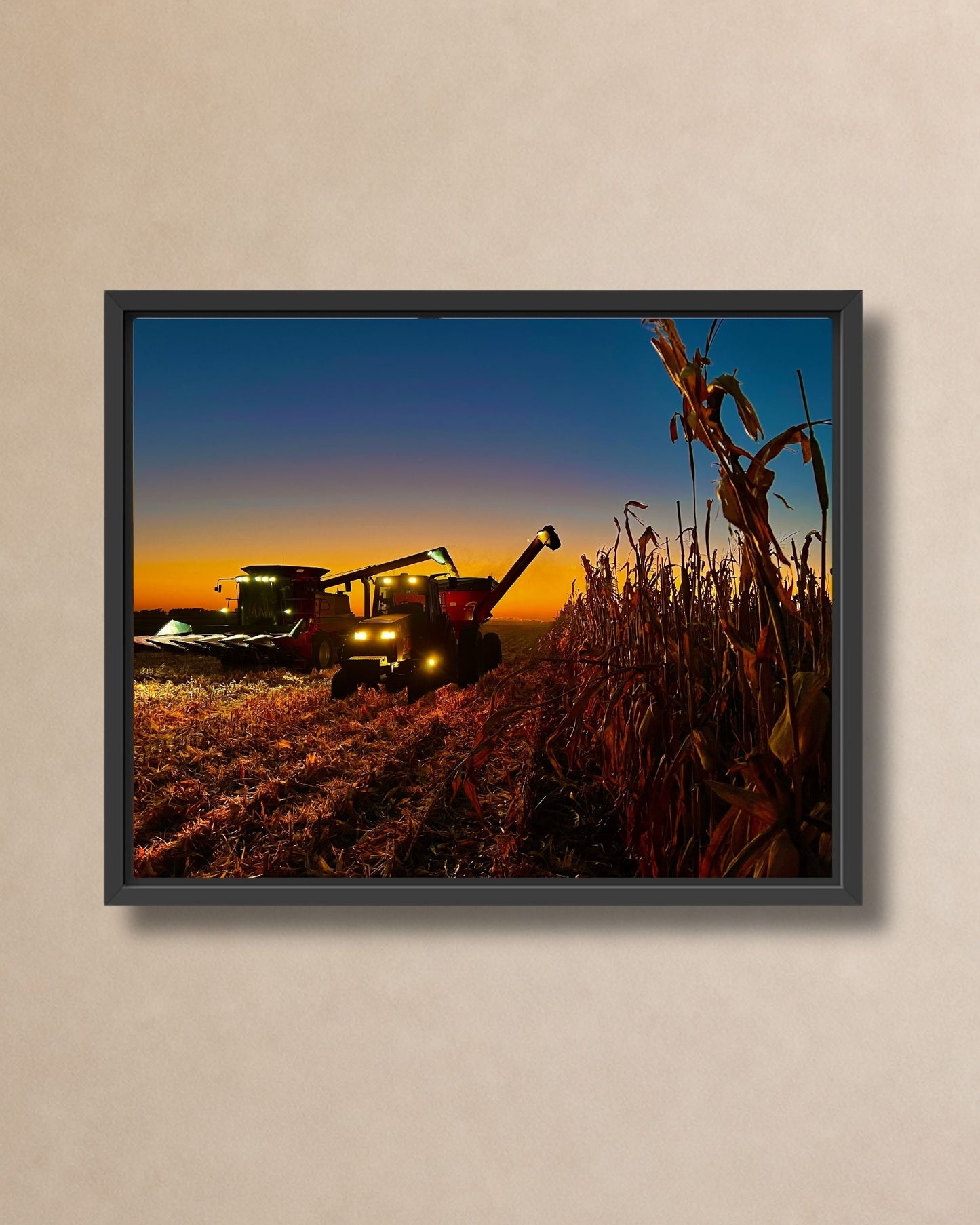 Black framed canvas print of evening corn harvest with illuminated combine, tractor, grain cart, and standing rows.