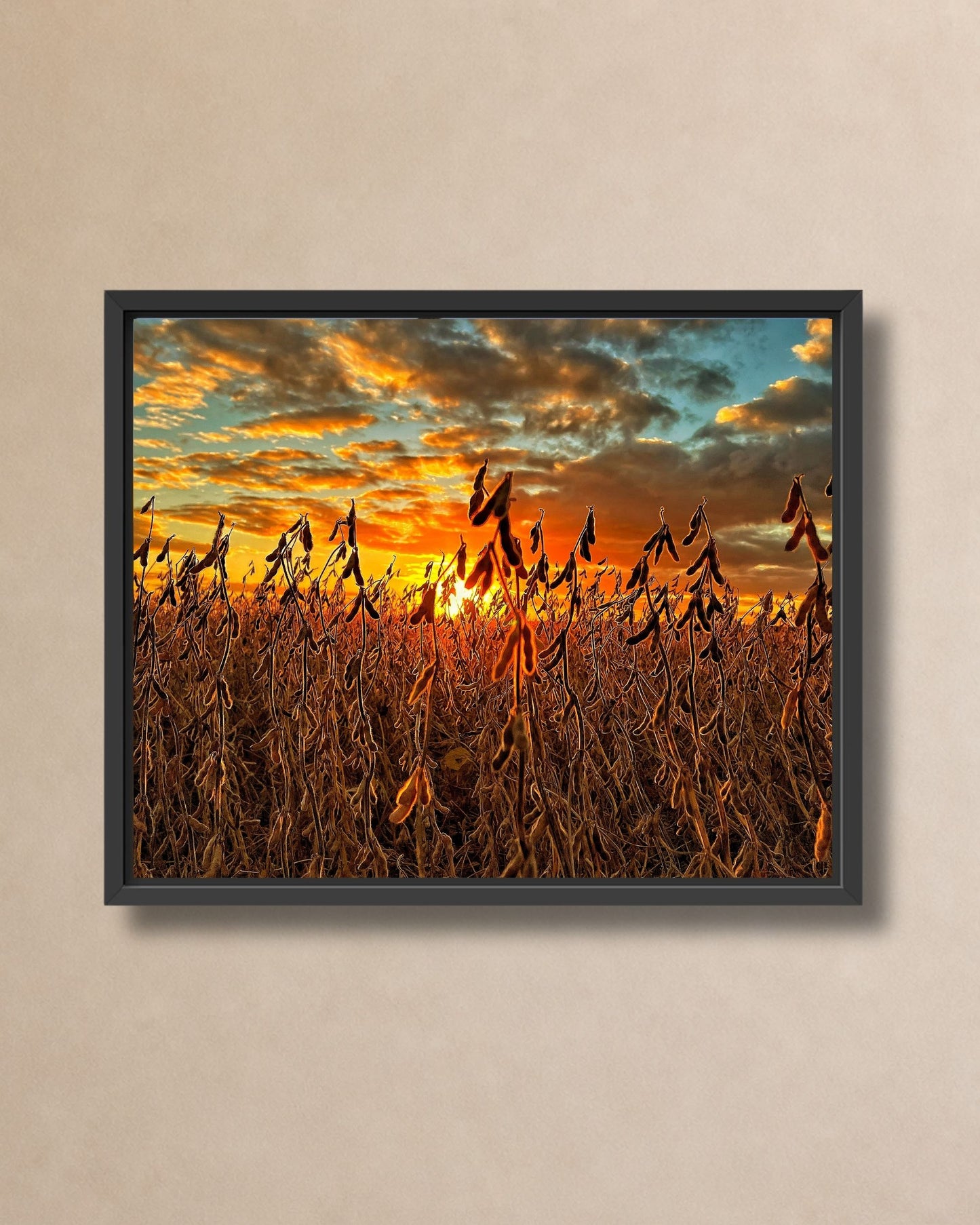 Black framed canvas wall art showing a rural soybean field lit by a vivid orange sunset and textured evening clouds.