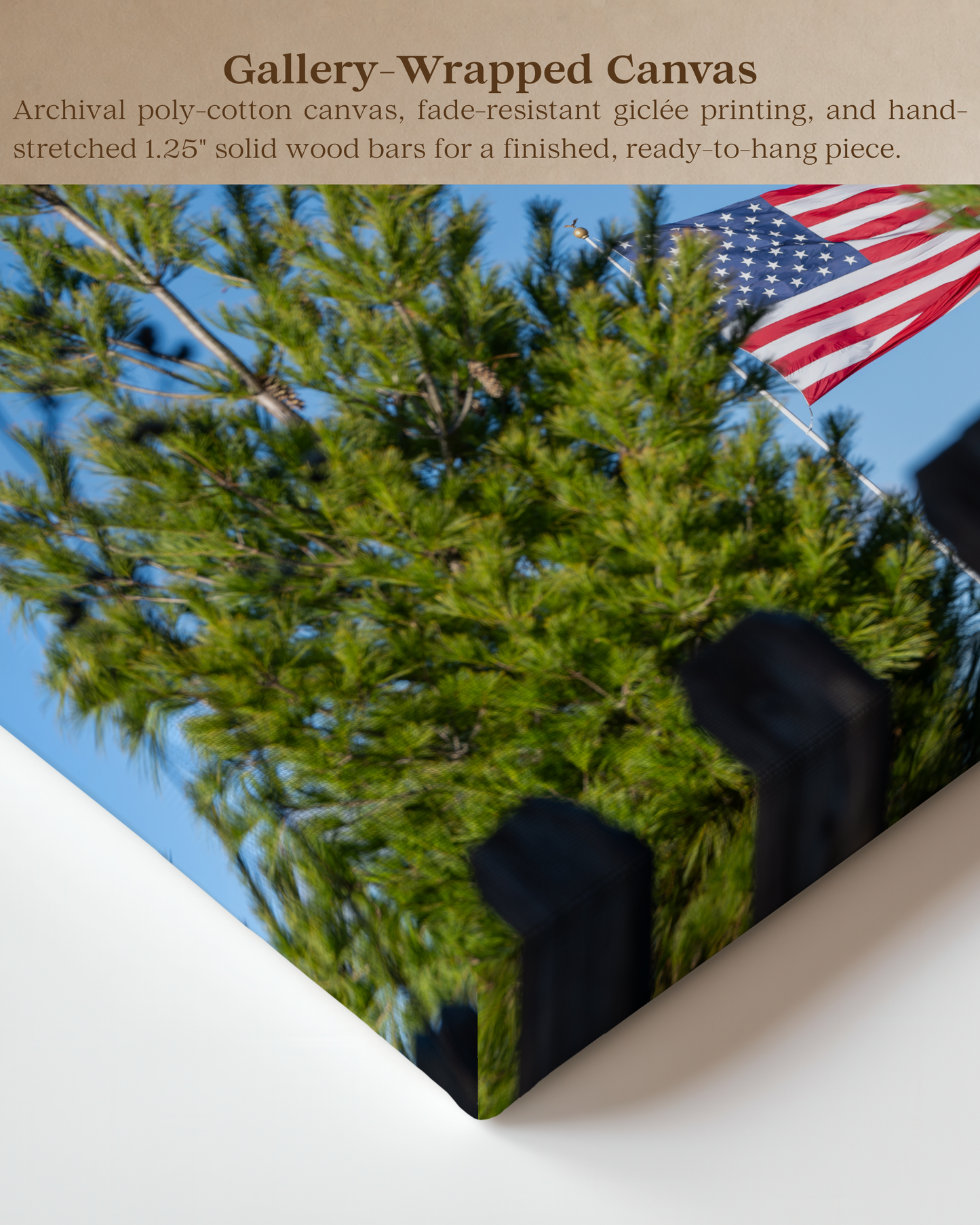 A Familiar Sight - American Flag Rural Landscape Canvas Wall Art