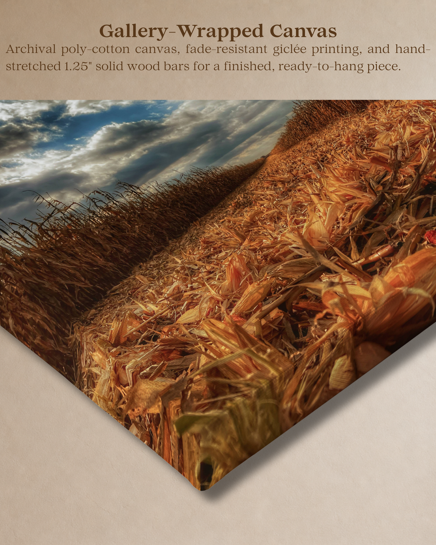 Where the Combine Passed – Corn Harvest Field Canvas Wall Art