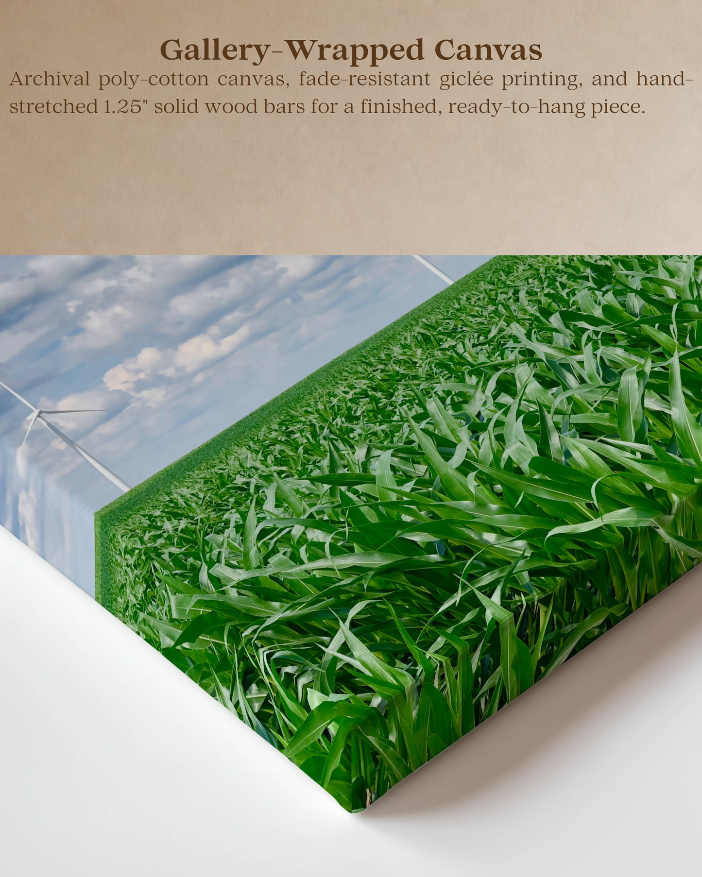Where the Corn Stands Tall – Iowa Summer Field Canvas Wall Art