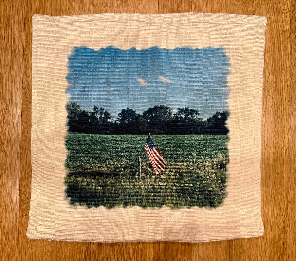 American Flag in the Field Throw Pillow Cover